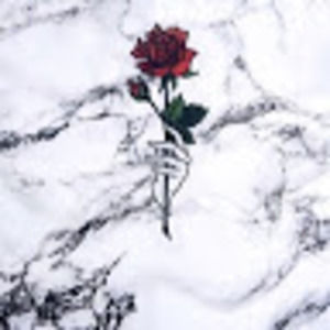 Meet your Posher, Bella